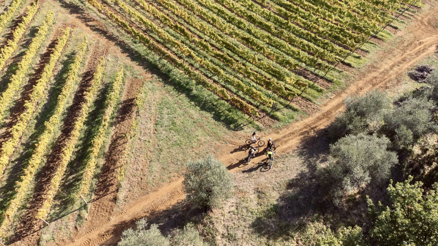 In e-mtbike tra le vigne di Marco Carpineti