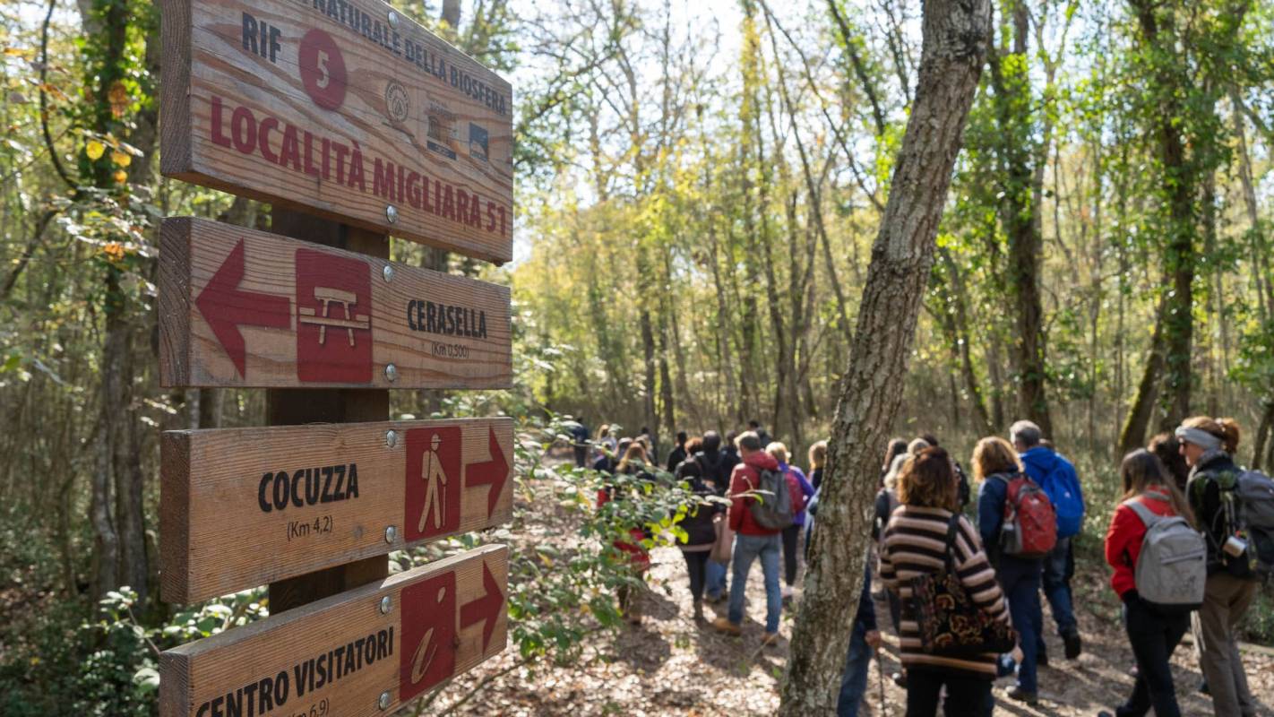 Passeggiata in Foresta fino al Lago e Aperitivo