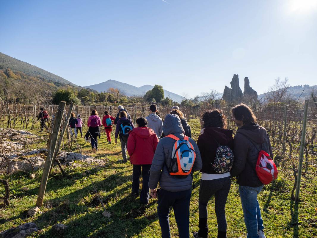 Storie di Vite con Francesca Camilla D'Amico tra i vigneti della Cantina Sant'Andrea