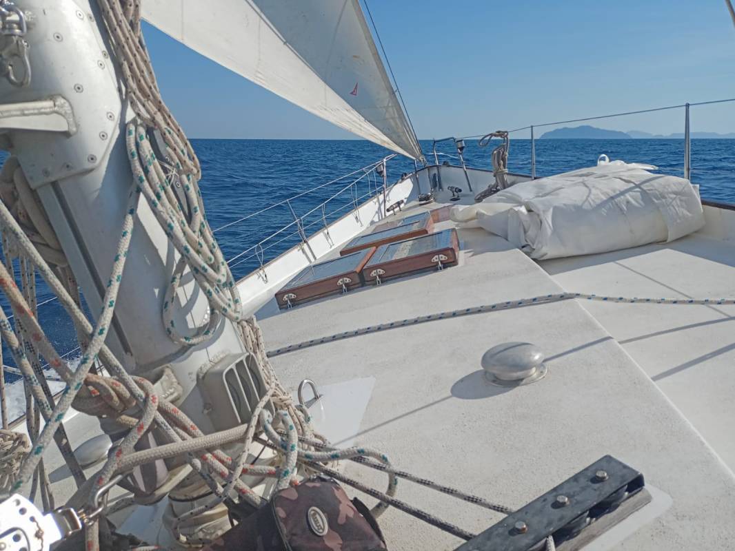 Le Veleggiate Poetiche a Ponza, Palmarola e Zannone