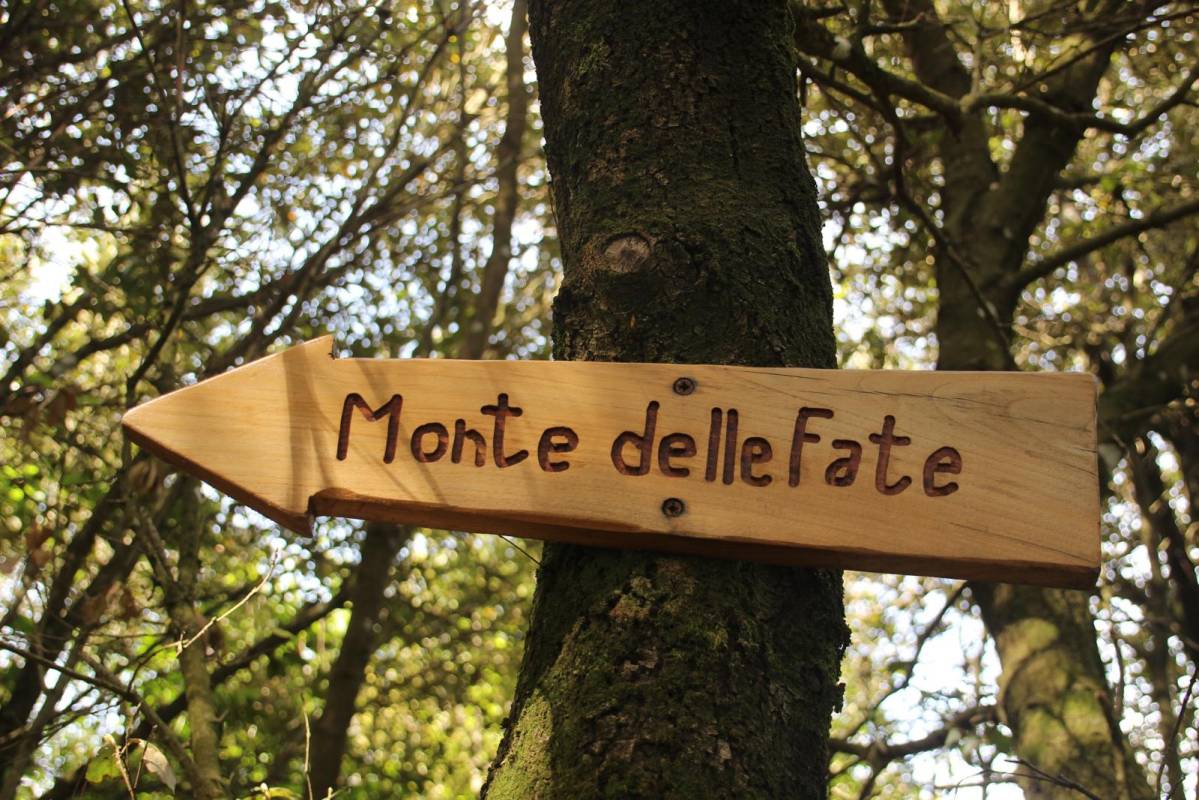Tra Sugherete e Fate