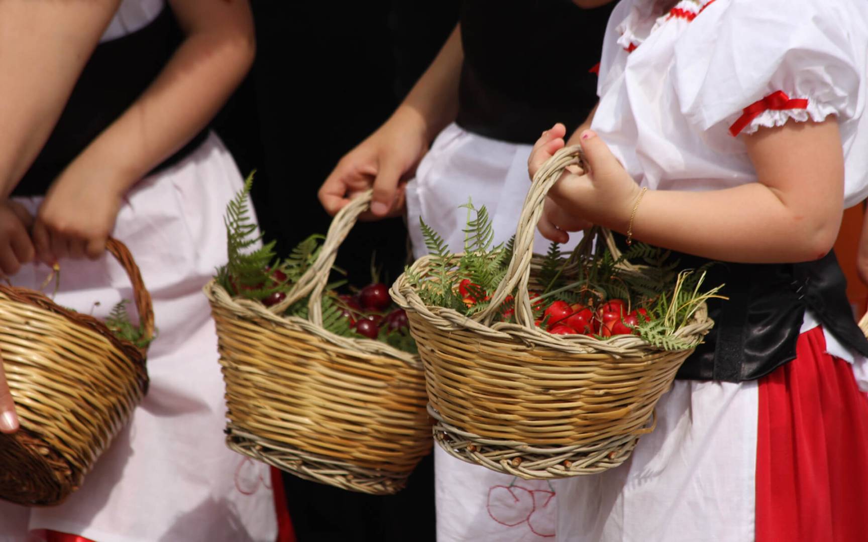 Sagra delle Ciliegie