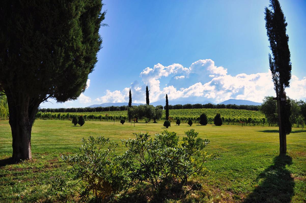 Storie di Vite con il concerto del Giuseppe Moffa Trio e cena-degustazione dei vini Marco Carpineti