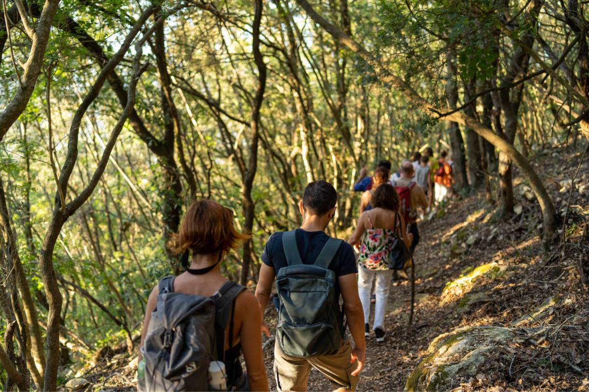 Le Passeggiate Poetiche nella Selva di Circe