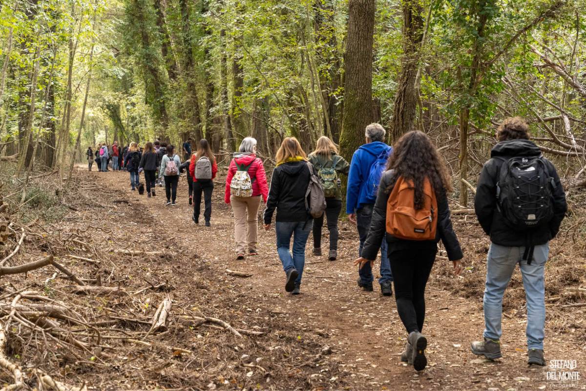 Le Passeggiate Poetiche nella Selva di Circe