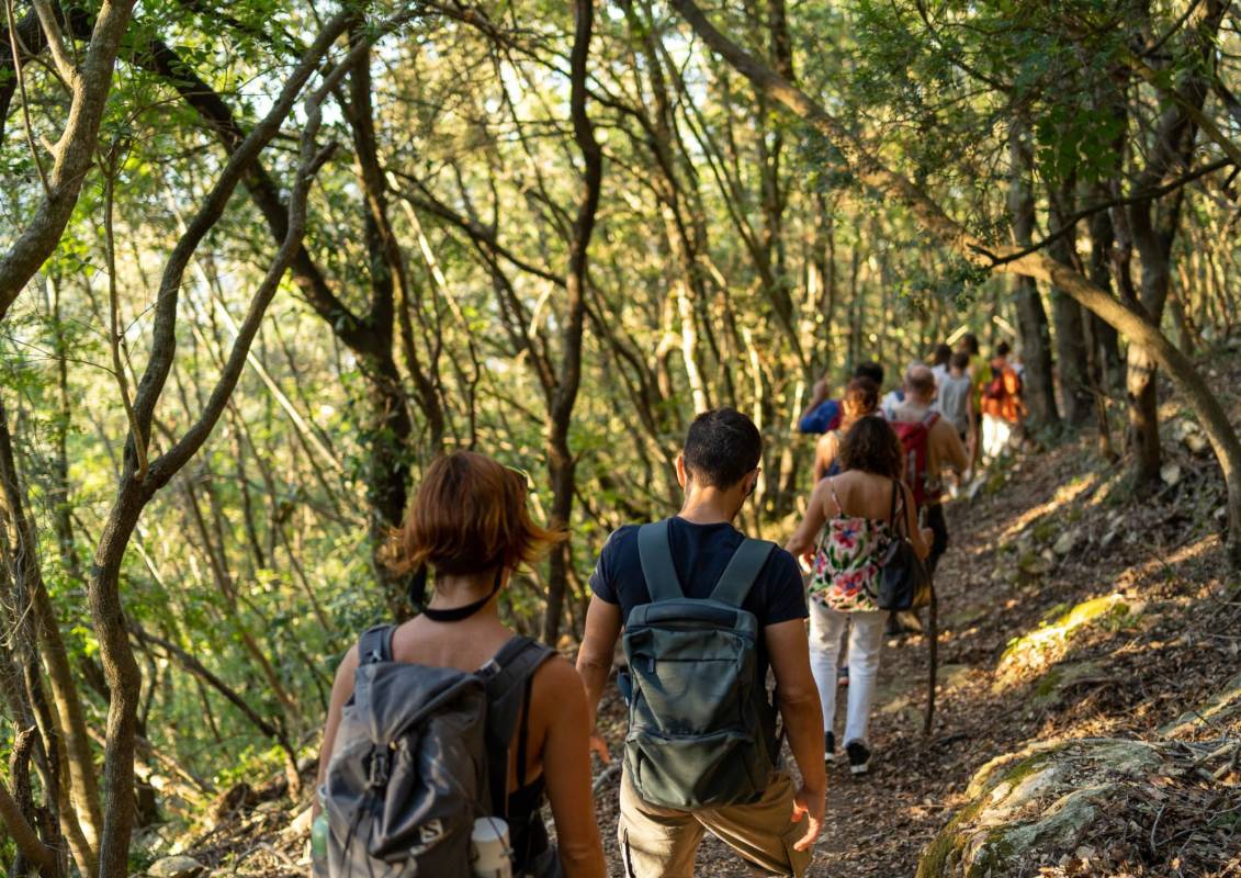 In cammino nel Bosco di Circe