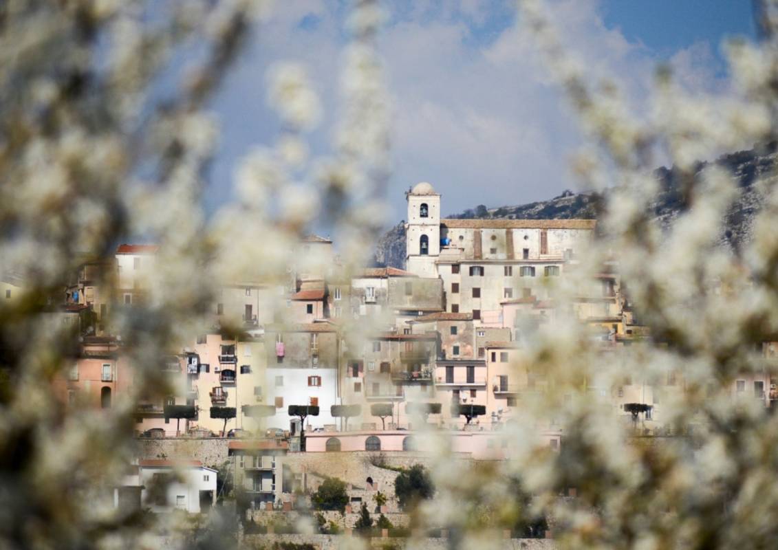 Il Festival delle Emozioni