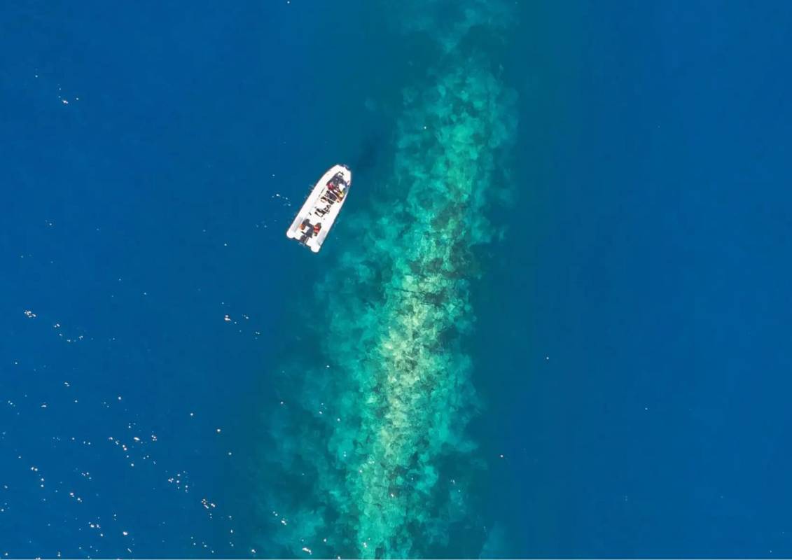 Alla scoperta dell'Isola di Palmarola