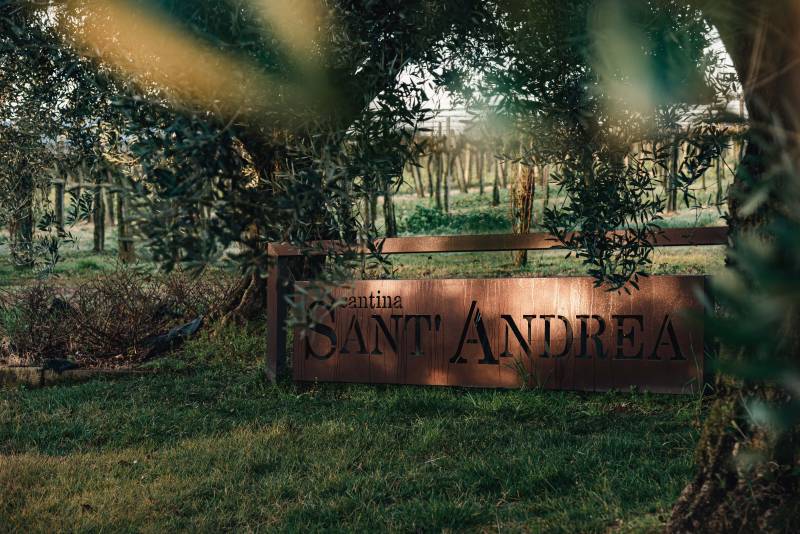 Cantina Sant'Andrea